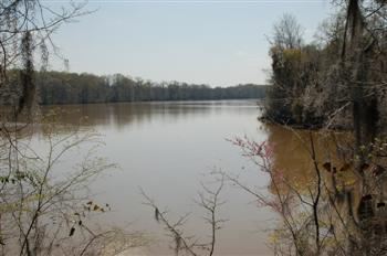 bluffcreek13