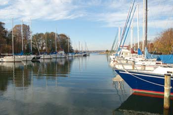 solomons14