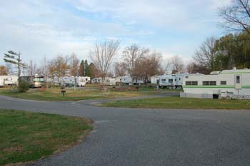solomons5