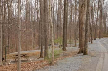 sugar hollow15